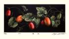 44 photo44_small.jpg